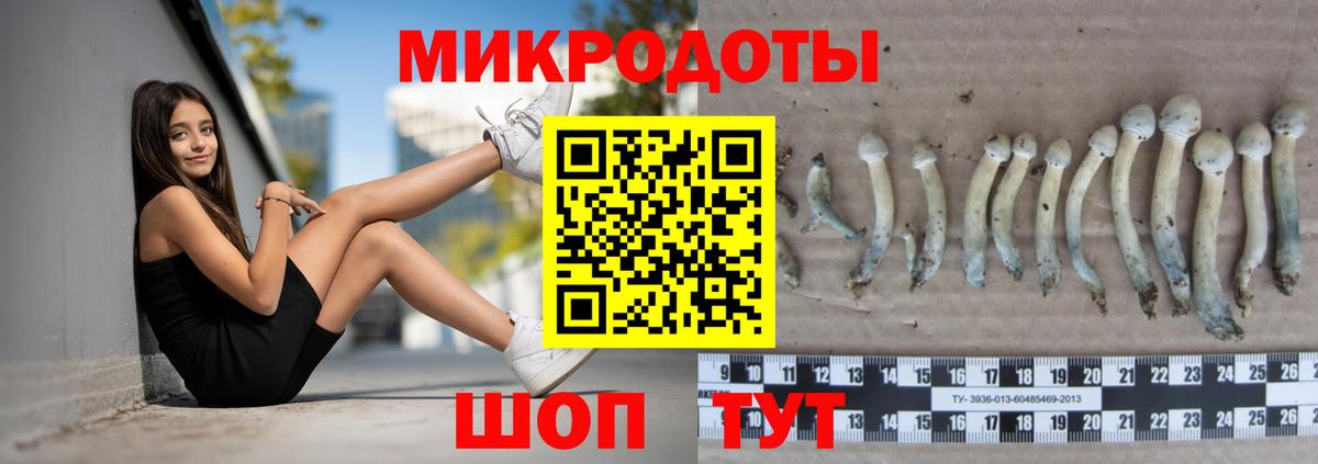 Псилоцибиновые грибы Psilocybe  Вход с VPN  Строитель 