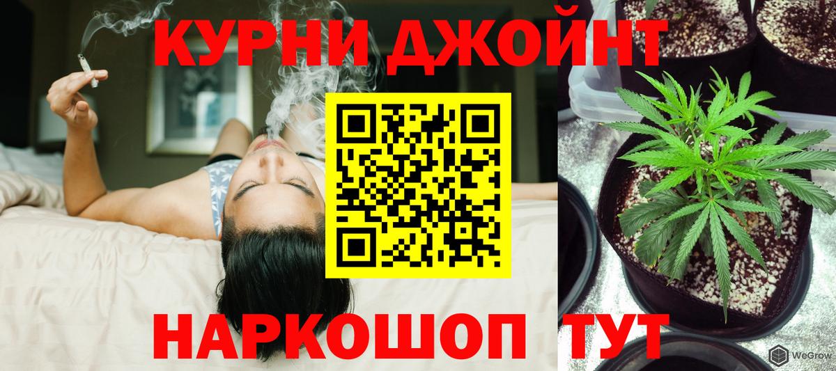 Строитель  Бошки Шишки SATIVA & INDICA  Канабис индика  Вход с VPN 